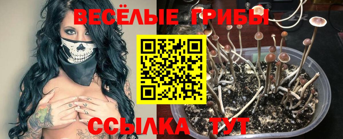 Псилоцибиновые грибы Psilocybine cubensis  Вход с VPN  Ишимбай 